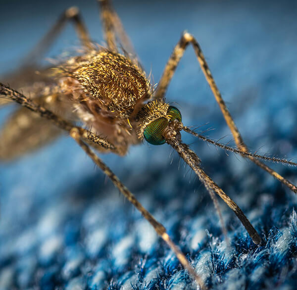 newsletter may25 photo 2