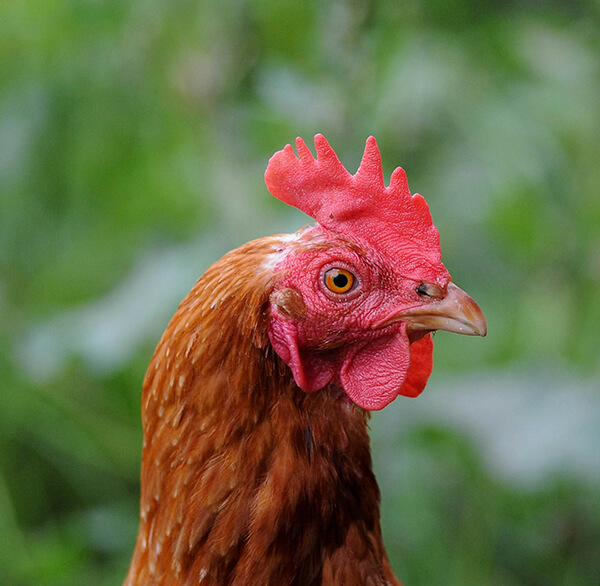 newsletter dec24 photo 5